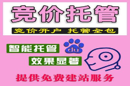 优化SEM竞价策略：成功案例剖析